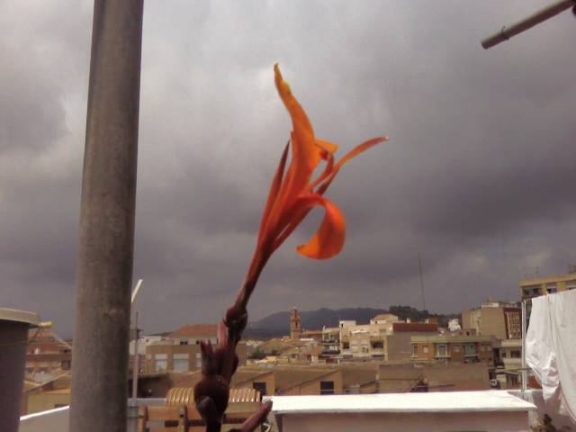 Foto0381