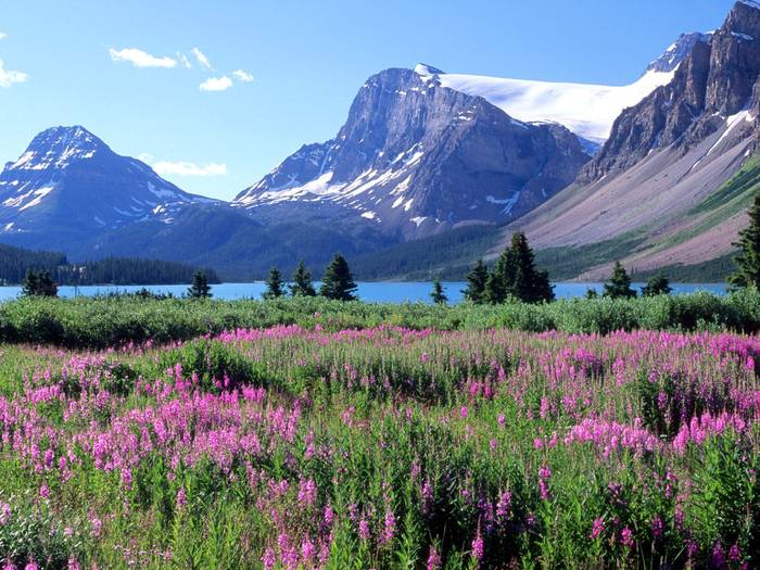 Bow Lake, Canadian Rockies, Alberta - Canada Wallpapers