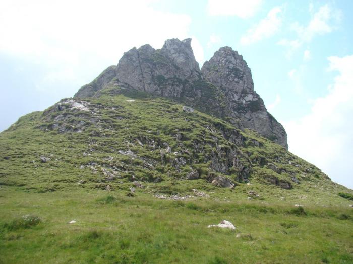 DSC01965 - Concediu 2008