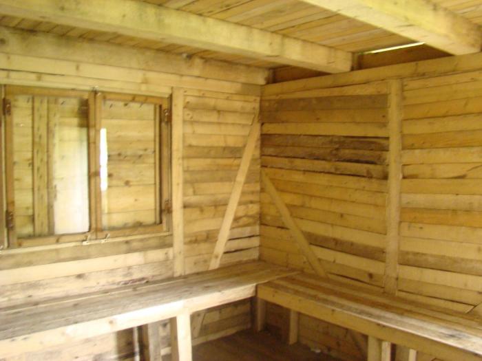 DSC01950 - Concediu 2008