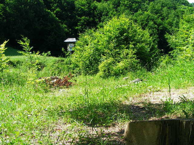 DSCF2107 - hai hui prin Maramures