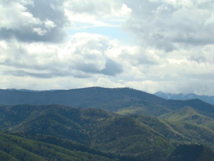 DSC03441