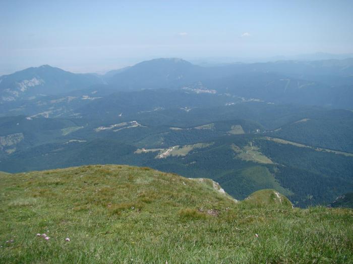 DSC01868 - Concediu 2008