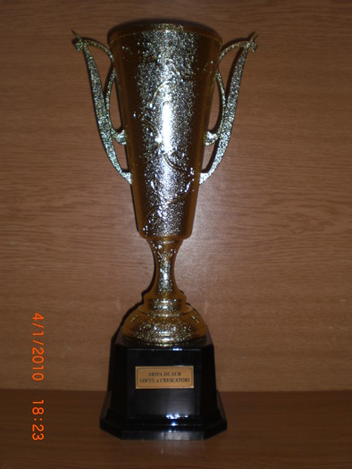 Aripa de Aur 2009 loc 2 Habaci Calin ACMR - Cupe