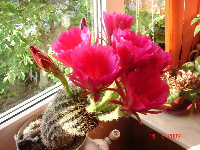DSC06180