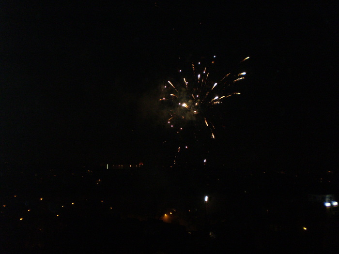 PB210281 - REVELION 2010