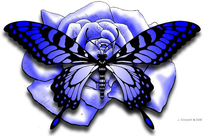 2008-02-14-blue-rose-butterfly