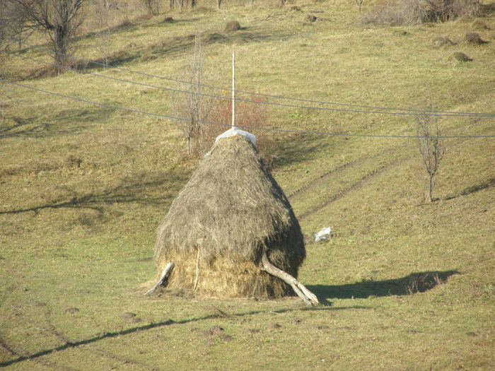 027 - A3 - 30 NOV 2009 SCHITU BRAD IN SAT GURGUIATA