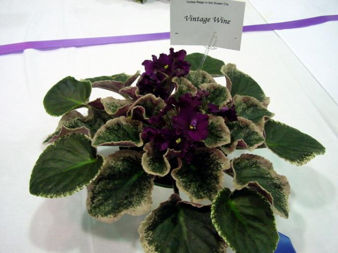 vintage_wine_2005avsa