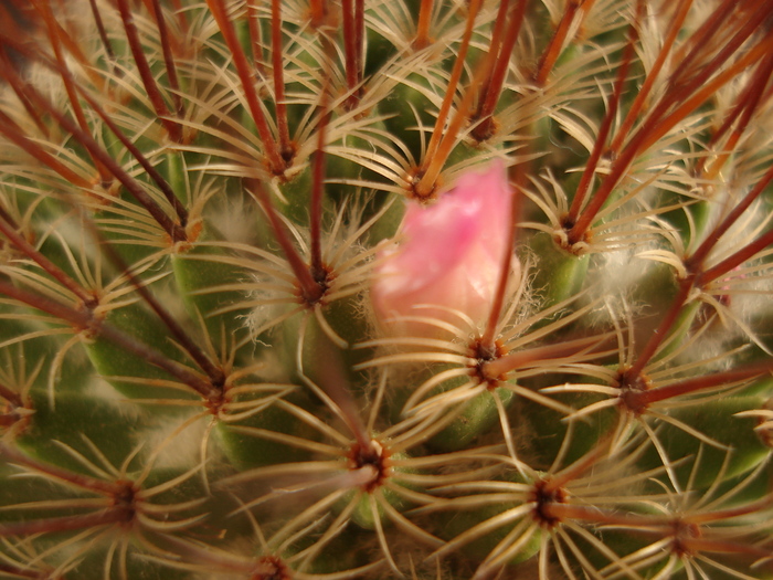 DSC05226