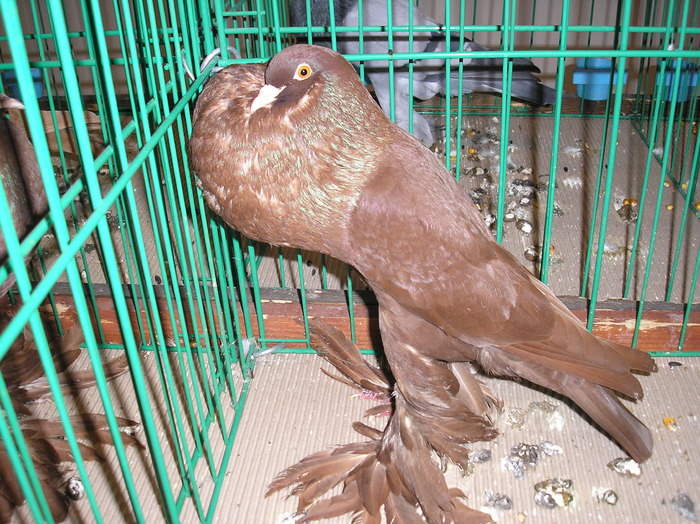 P1010177