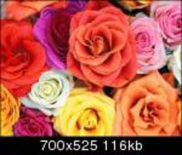 53850924da9_th