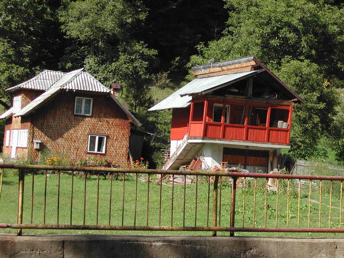 Picture 133 - Firiza