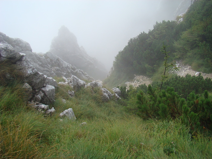 DSC04056 - Piatra Craiului August 2009 Valea Crapaturii