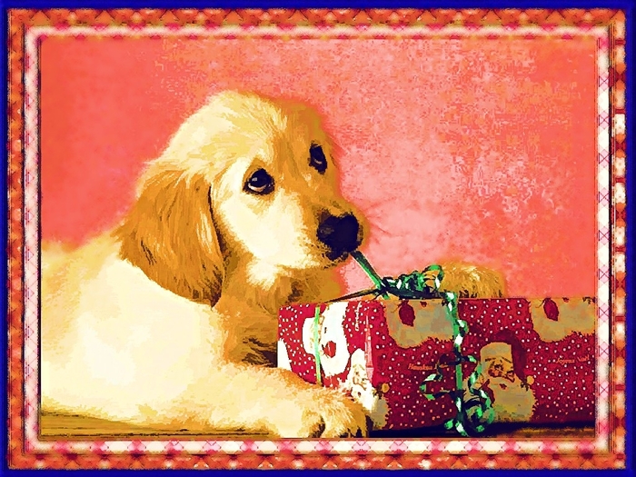 Christmas Wallpapers (432)