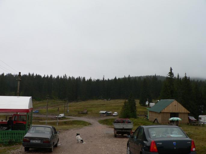 P100067