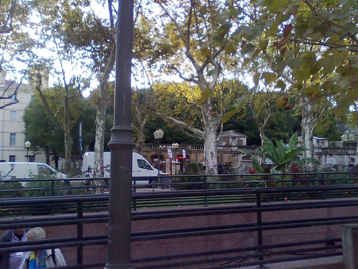 Imagine1228 - ApiMondia