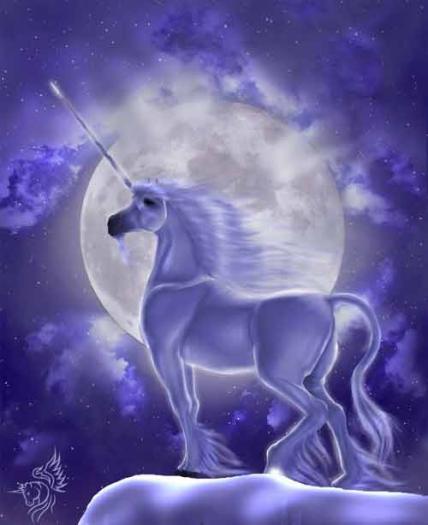 unicorns-4