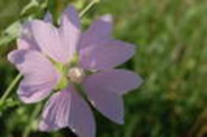 EOGVYOVBYDTUPXXKKTI[1]