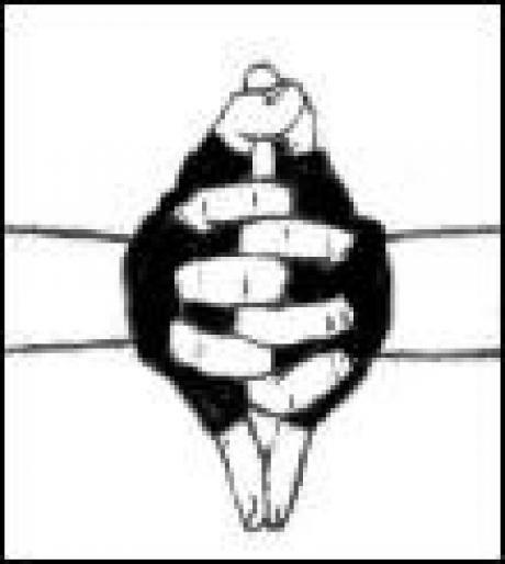 Semn - Poze cu toate personajele din Naruto