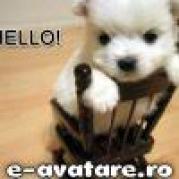 avatare_gratuite_92e6fb29451c2225e636bd0ac122da41 - Animalute dragute