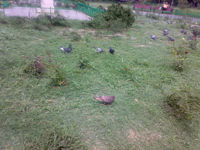 200720092336 - 18c Bucuresti