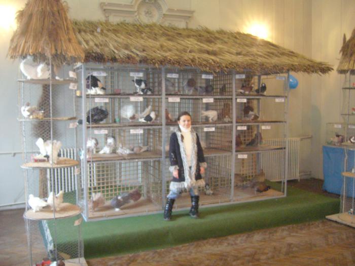 Picture 174 - Expozitia Columbofilia Traditie Si Pasiune din DOROHOI tinuta in perioada 15-20 februarie 2009