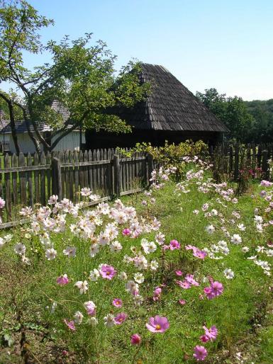 Gradina - Muzeu Sat