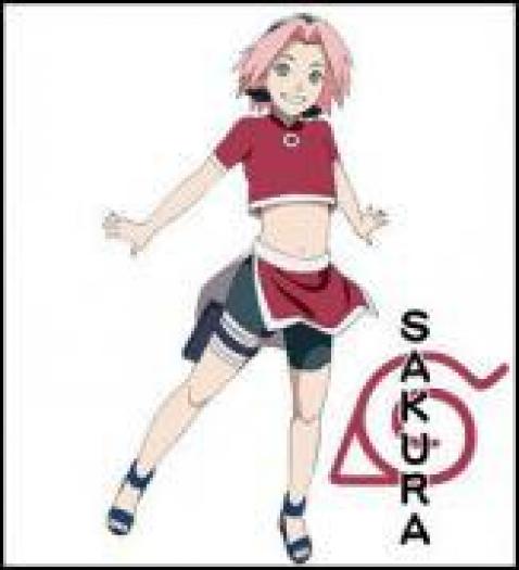 YNYXMRWAEXSBHYZMMPP - sackura