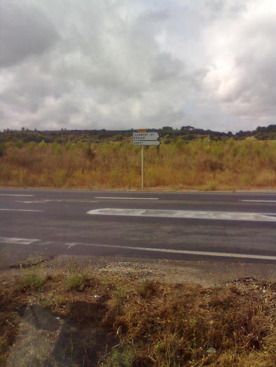 Imagine1394 - ApiMondia