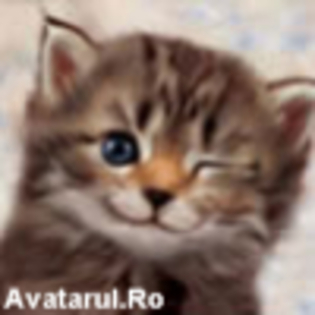 avatar_2 - club animale
