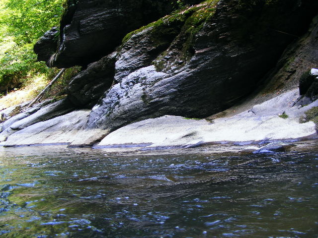 DSCF5138