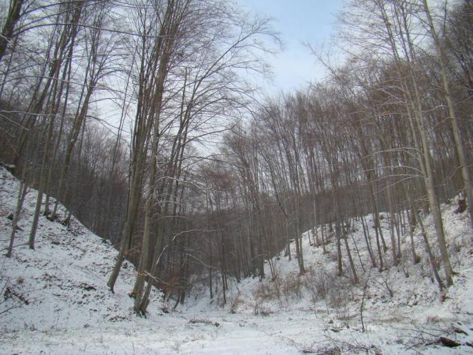 DSC02275 - 2008-02-11 - La Pucioasa-Targoviste-Fieni