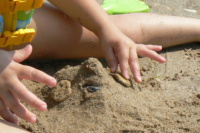 P1100697 - 2008 07 mare