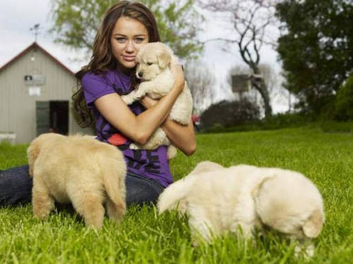 2956057531_d8601c8705 - Miley Cyrus and Dog