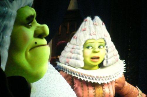 17838929[1] - shrek