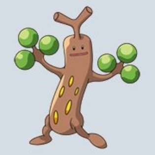 sudowoodo[1]