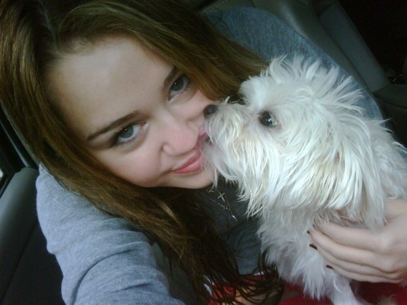 miley and her puppy - Miley Cyrus or Hannnah Montana