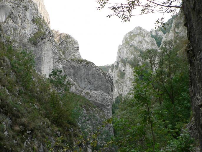 P100087