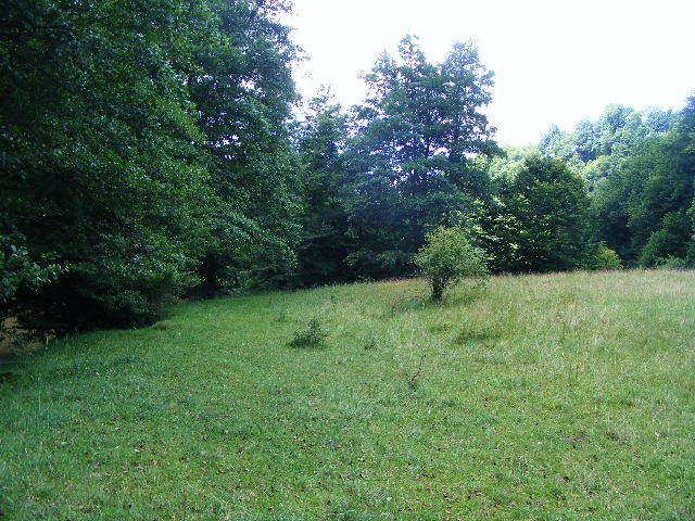 DSCF2601