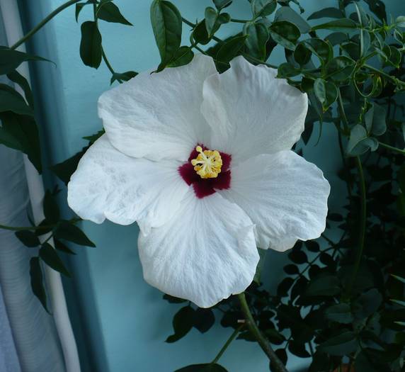 P1140040