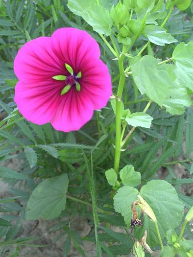 PICT0006