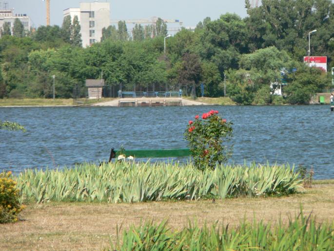 P1000111 - 2007 in plimbare prin herastrau