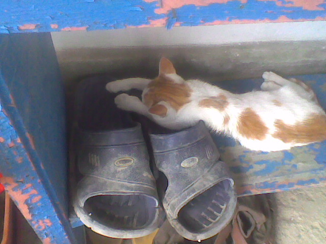 Imag066