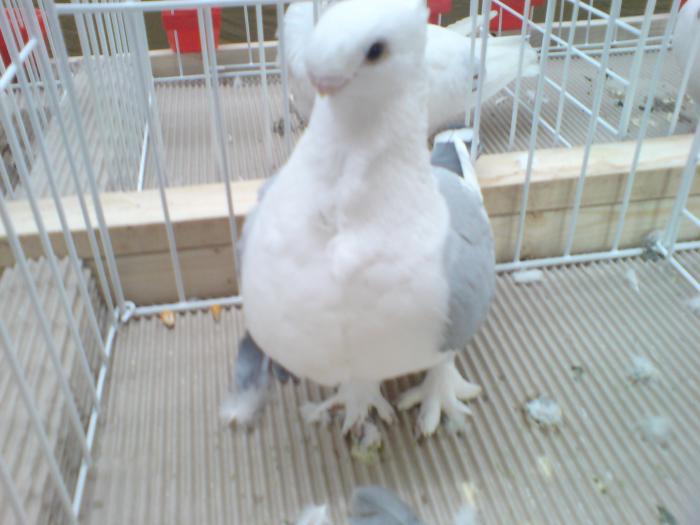 DSC00883