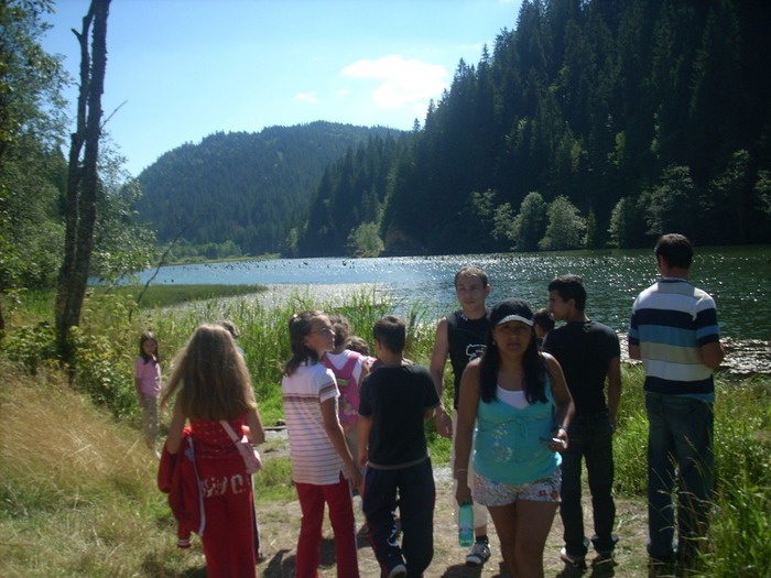 camera 195 - Valea Budului 2-2008