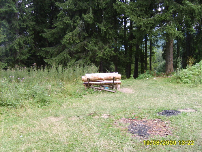 S5002608 - Sinaia 23 08 2009