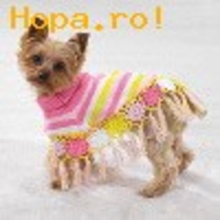 avatar_animale41_1231924707