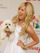 AVSEDMWIRQGEOLQBRNV - ashley tisdale
