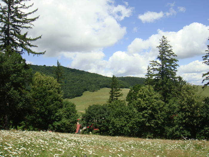 206 - vacanta 23  28 iulie 2009